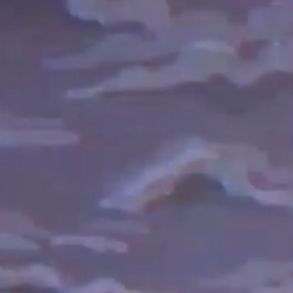 Meet your Posher, Lex - Picture 1 of 1